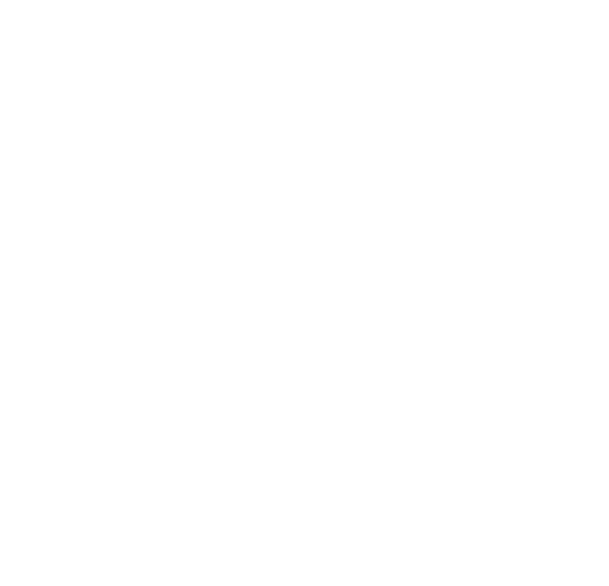 VConnect Logo